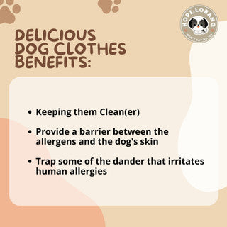 ✅[SG] DELICIOUS PET CLOTHES + BAG FOR DOGS AND CATS★ FREE Enrichment Tips & Ideas e-Guide Worth $7★ Cute & Airy ★ SG Stock ★ Kopi Lobang ★ For Dog Cat ★ Perfect for Gift