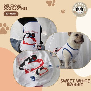 ✅[SG] DELICIOUS PET CLOTHES + BAG FOR DOGS AND CATS★ FREE Enrichment Tips & Ideas e-Guide Worth $7★ Cute & Airy ★ SG Stock ★ Kopi Lobang ★ For Dog Cat ★ Perfect for Gift