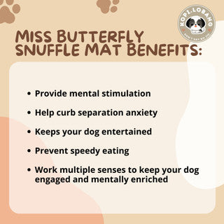 ✅[SG] MISS BUTTERFLY SNUFFLE MAT ★ Nosework Training ★ FREE Enrichment Tips & Ideas e-Guide Worth $7★ Pet Enrichment ★ SG Stock ★ Kopi Lobang