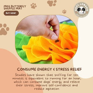 ✅[SG] MISS BUTTERFLY SNUFFLE MAT ★ Nosework Training ★ FREE Enrichment Tips & Ideas e-Guide Worth $7★ Pet Enrichment ★ SG Stock ★ Kopi Lobang