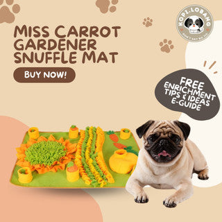 ✅[SG] MISS CARROT GARDENER SNUFFLE MAT ★ Nosework Training ★ FREE Enrichment Tips & Ideas e-Guide Worth $7★ SG Stock ★ Kopi Lobang