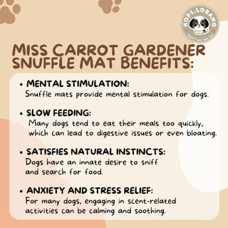 ✅[SG] MISS CARROT GARDENER SNUFFLE MAT ★ Nosework Training ★ FREE Enrichment Tips & Ideas e-Guide Worth $7★ SG Stock ★ Kopi Lobang