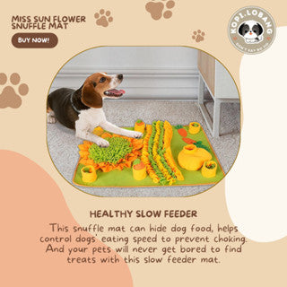 ✅[SG] MISS CARROT GARDENER SNUFFLE MAT ★ Nosework Training ★ FREE Enrichment Tips & Ideas e-Guide Worth $7★ SG Stock ★ Kopi Lobang