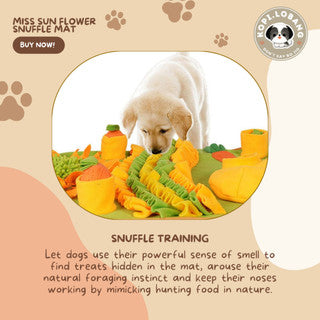 ✅[SG] MISS CARROT GARDENER SNUFFLE MAT ★ Nosework Training ★ FREE Enrichment Tips & Ideas e-Guide Worth $7★ SG Stock ★ Kopi Lobang