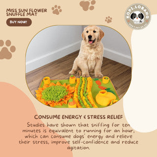 ✅[SG] MISS CARROT GARDENER SNUFFLE MAT ★ Nosework Training ★ FREE Enrichment Tips & Ideas e-Guide Worth $7★ SG Stock ★ Kopi Lobang