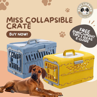 ✅[SG] MISS COLLAPSIBLE CRATE ★ Crate Training ★ FREE Enrichment Tips & Ideas e-Guide Worth $7★ Enrichment ★ SG Stock ★ Kopi Lobang