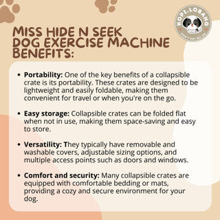 ✅[SG] MISS COLLAPSIBLE CRATE ★ Crate Training ★ FREE Enrichment Tips & Ideas e-Guide Worth $7★ Enrichment ★ SG Stock ★ Kopi Lobang