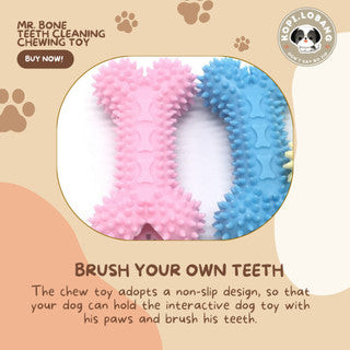 ✅[SG] MR. BONE TEETH CLEANING CHEWING TOY ★ Dental Hygiene Training ★ FREE Enrichment Tips & Ideas e-Guide Worth $7 ★ Enrichment ★ SG Stock ★ Kopi Lobang