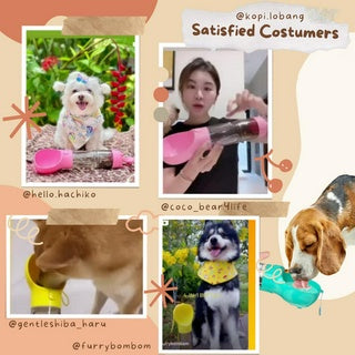 ✅[SG] 4-in-1 PET WATER BOTTLE FOR DOG AND CAT★ FREE Enrichment Tips & Ideas e-Guide  Worth $7 ★ Convenient ★ SG Stock ★ Kopi Lobang