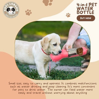 ✅[SG] 4-in-1 PET WATER BOTTLE FOR DOG AND CAT★ FREE Enrichment Tips & Ideas e-Guide  Worth $7 ★ Convenient ★ SG Stock ★ Kopi Lobang