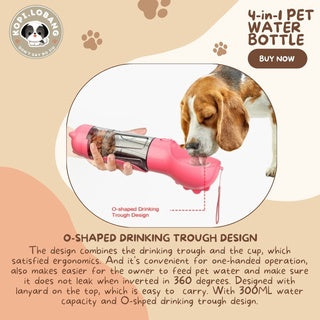 ✅[SG] 4-in-1 PET WATER BOTTLE FOR DOG AND CAT★ FREE Enrichment Tips & Ideas e-Guide  Worth $7 ★ Convenient ★ SG Stock ★ Kopi Lobang