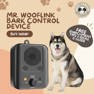 ✅[SG] MR. WOOFLINK BARK CONTROL DEVICE ★ Behavior Modification Training ★ FREE Enrichment Tips & Ideas e-Guide  Worth $7 ★ Enrichment ★ SG Stock ★ Kopi Lobang