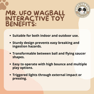 ✅[SG] MR. UFO SAUCER BALL INTERACTIVE TOY ★ Trick Training ★ FREE Enrichment Tips & Ideas e-Guide  Worth $7 ★ Enrichment ★ SG Stock ★ Kopi Lobang