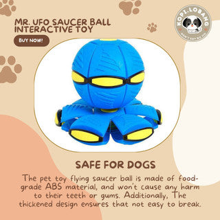 ✅[SG] MR. UFO SAUCER BALL INTERACTIVE TOY ★ Trick Training ★ FREE Enrichment Tips & Ideas e-Guide  Worth $7 ★ Enrichment ★ SG Stock ★ Kopi Lobang