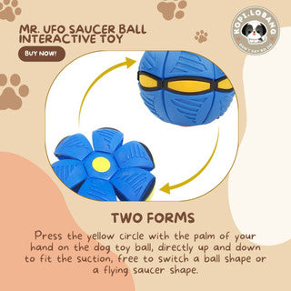 ✅[SG] MR. UFO SAUCER BALL INTERACTIVE TOY ★ Trick Training ★ FREE Enrichment Tips & Ideas e-Guide  Worth $7 ★ Enrichment ★ SG Stock ★ Kopi Lobang