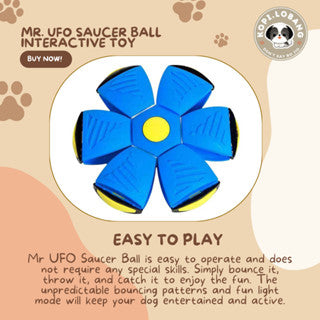 ✅[SG] MR. UFO SAUCER BALL INTERACTIVE TOY ★ Trick Training ★ FREE Enrichment Tips & Ideas e-Guide  Worth $7 ★ Enrichment ★ SG Stock ★ Kopi Lobang