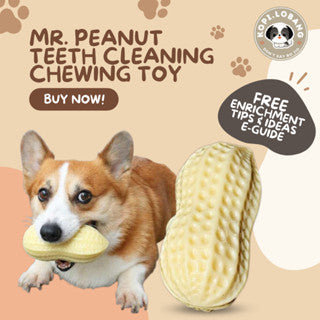 ✅[SG] MR. PEANUT TEETH CLEANING CHEWING TOY ★ Dental Hygiene Training ★ FREE Enrichment Tips & Ideas e-Guide Worth $7★ Enrichment ★ SG Stock ★ Kopi Lobang