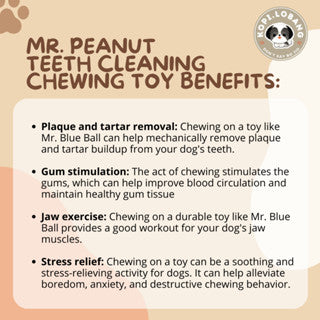 ✅[SG] MR. PEANUT TEETH CLEANING CHEWING TOY ★ Dental Hygiene Training ★ FREE Enrichment Tips & Ideas e-Guide Worth $7★ Enrichment ★ SG Stock ★ Kopi Lobang