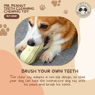 ✅[SG] MR. PEANUT TEETH CLEANING CHEWING TOY ★ Dental Hygiene Training ★ FREE Enrichment Tips & Ideas e-Guide Worth $7★ Enrichment ★ SG Stock ★ Kopi Lobang