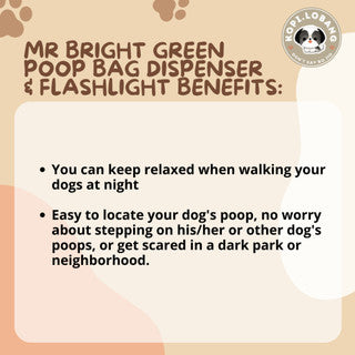 ✅[SG] MR BRIGHT POOP BAG DISPENSER & FLASHLIGHT ★ GREAT FOR NIGHT WALK ★ FREE Indoor & Outdoor Training e-Guide Worth $7★