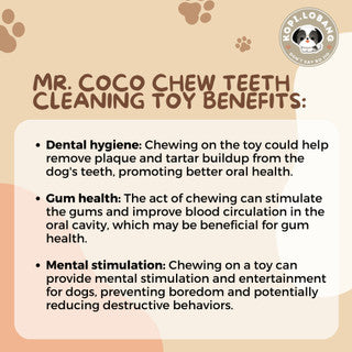 ✅[SG] MR COCO CHEW TEETH CLEANING ★ Dental Hygiene Training ★ FREE Enrichment Tips & Ideas e-Guide Worth $7 ★ Enrichment ★ SG Stock ★ Kopi Lobang