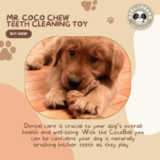 ✅[SG] MR COCO CHEW TEETH CLEANING ★ Dental Hygiene Training ★ FREE Enrichment Tips & Ideas e-Guide Worth $7 ★ Enrichment ★ SG Stock ★ Kopi Lobang