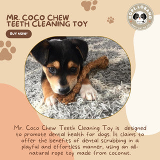 ✅[SG] MR COCO CHEW TEETH CLEANING ★ Dental Hygiene Training ★ FREE Enrichment Tips & Ideas e-Guide Worth $7 ★ Enrichment ★ SG Stock ★ Kopi Lobang