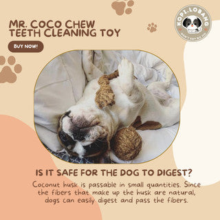 ✅[SG] MR COCO CHEW TEETH CLEANING ★ Dental Hygiene Training ★ FREE Enrichment Tips & Ideas e-Guide Worth $7 ★ Enrichment ★ SG Stock ★ Kopi Lobang