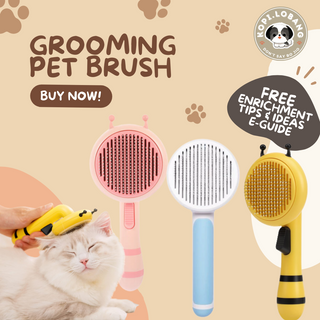 ✅[SG] MR BEE GROOMING PET BRUSH ★ FREE Enrichment Tips & Ideas e-Guide Worth $7 ★ SG Stock ★ Kopi Lobang ★