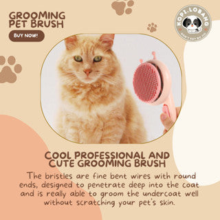 ✅[SG] MR BEE GROOMING PET BRUSH ★ FREE Enrichment Tips & Ideas e-Guide Worth $7 ★ SG Stock ★ Kopi Lobang ★