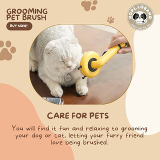 ✅[SG] MR BEE GROOMING PET BRUSH ★ FREE Enrichment Tips & Ideas e-Guide Worth $7 ★ SG Stock ★ Kopi Lobang ★