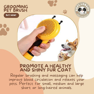 ✅[SG] MR BEE GROOMING PET BRUSH ★ FREE Enrichment Tips & Ideas e-Guide Worth $7 ★ SG Stock ★ Kopi Lobang ★