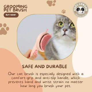 ✅[SG] MR BEE GROOMING PET BRUSH ★ FREE Enrichment Tips & Ideas e-Guide Worth $7 ★ SG Stock ★ Kopi Lobang ★