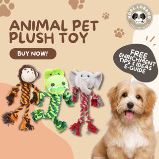 ✅[SG] ANIMAL PET PLUSH ★ Anxiety Prevention Training ★ FREE Enrichment Tips & Ideas e-Guide Worth $7 ★ SQUEAKY PET TOY ★ Enrichment ★ SG Stock ★ Kopi Lobang