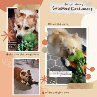 ✅[SG] ANIMAL PET PLUSH ★ Anxiety Prevention Training ★ FREE Enrichment Tips & Ideas e-Guide Worth $7 ★ SQUEAKY PET TOY ★ Enrichment ★ SG Stock ★ Kopi Lobang