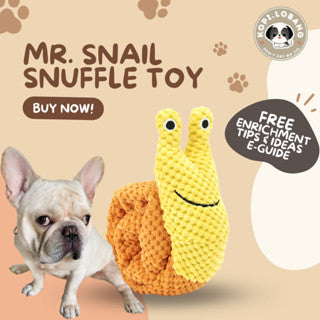 ✅[SG] MR. SNAIL SNUFFLE TOY ★ Nosework Training ★ FREE Enrichment Tips & Ideas e-Guide Worth $7 ★ Pet Enrichment ★ SG Stock ★ Kopi Lobang