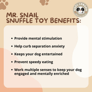 ✅[SG] MR. SNAIL SNUFFLE TOY ★ Nosework Training ★ FREE Enrichment Tips & Ideas e-Guide Worth $7 ★ Pet Enrichment ★ SG Stock ★ Kopi Lobang