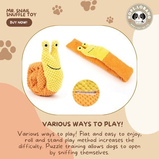 ✅[SG] MR. SNAIL SNUFFLE TOY ★ Nosework Training ★ FREE Enrichment Tips & Ideas e-Guide Worth $7 ★ Pet Enrichment ★ SG Stock ★ Kopi Lobang