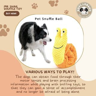 ✅[SG] MR. SNAIL SNUFFLE TOY ★ Nosework Training ★ FREE Enrichment Tips & Ideas e-Guide Worth $7 ★ Pet Enrichment ★ SG Stock ★ Kopi Lobang