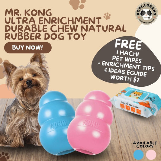 ✅[SG] MR. KONG ULTRA ENRICHMENT DURABLE CHEW NATURAL RUBBER DOG TOY ★ FREE Enrichment Tips & Ideas e-Guide Worth $7 ★ Enrichment ★ SG Stock ★ Kopi Lobang