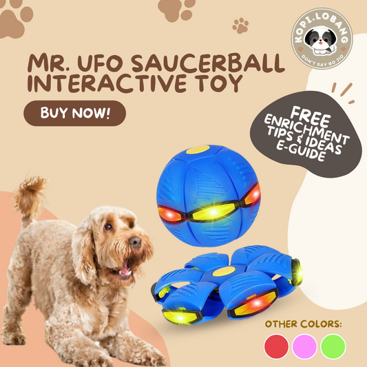 ✅[SG] MR. UFO SAUCER BALL INTERACTIVE TOY ★ Trick Training ★ FREE Enrichment Tips & Ideas e-Guide  Worth $7 ★ Enrichment ★ SG Stock ★ Kopi Lobang