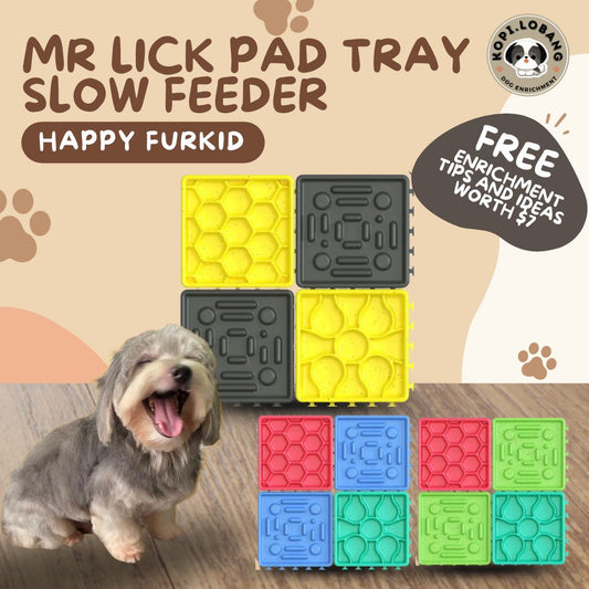 ✅[SG] MR. LICK PAD TRAY to Reduce Separation Anxiety ★ Dog Cat Slow Feeder ★ FREE Separation Anxiety Training eGuide Worth $7 ★
