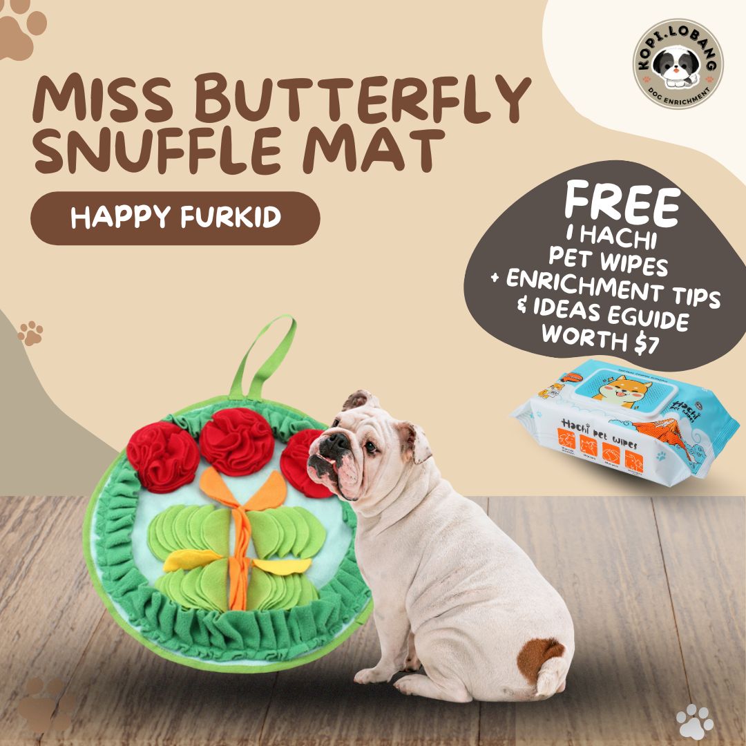 ✅[SG] MISS BUTTERFLY SNUFFLE MAT ★ Nosework Training ★ FREE Enrichment Tips & Ideas e-Guide Worth $7★ Pet Enrichment ★ SG Stock ★ Kopi Lobang