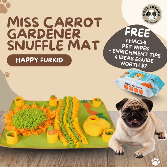 ✅[SG] MISS CARROT GARDENER SNUFFLE MAT ★ Nosework Training ★ FREE Enrichment Tips & Ideas e-Guide Worth $7★ SG Stock ★ Kopi Lobang