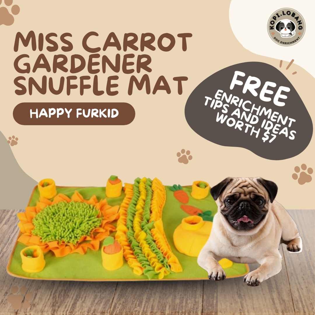 ✅[SG] MISS CARROT GARDENER SNUFFLE MAT ★ Nosework Training ★ FREE Enrichment Tips & Ideas e-Guide Worth $7★ SG Stock ★ Kopi Lobang