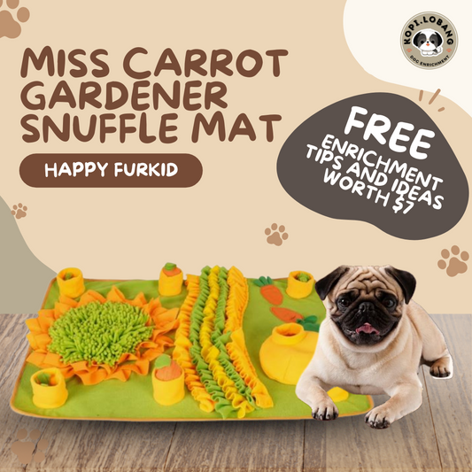 ✅[SG] MISS CARROT GARDENER SNUFFLE MAT ★ Nosework Training ★ FREE Enrichment Tips & Ideas e-Guide Worth $7★ SG Stock ★ Kopi Lobang