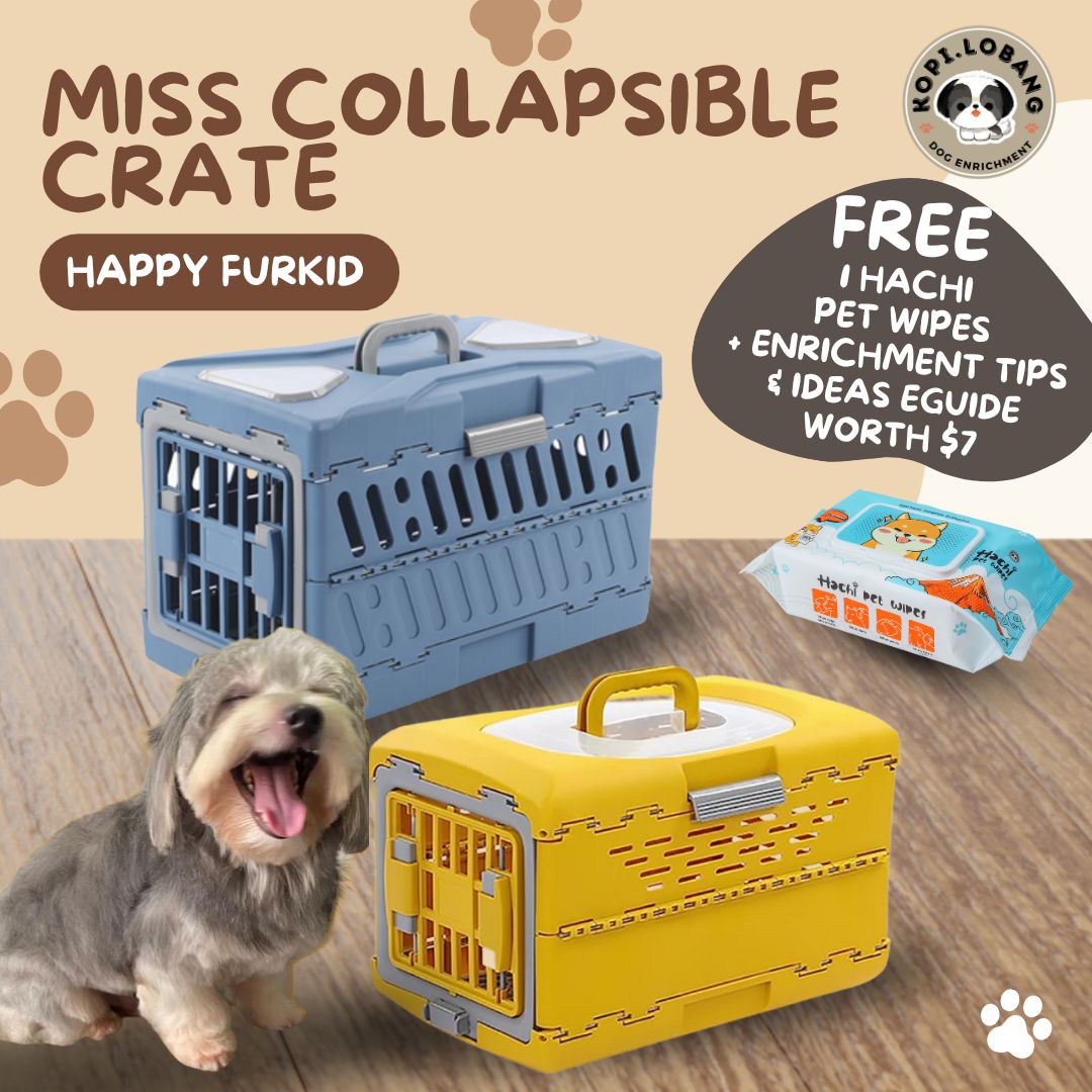 ✅[SG] MISS COLLAPSIBLE CRATE ★ Crate Training ★ FREE Enrichment Tips & Ideas e-Guide Worth $7★ Enrichment ★ SG Stock ★ Kopi Lobang