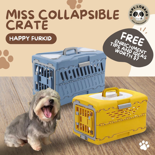 ✅[SG] MISS COLLAPSIBLE CRATE ★ Crate Training ★ FREE Enrichment Tips & Ideas e-Guide Worth $7★ Enrichment ★ SG Stock ★ Kopi Lobang