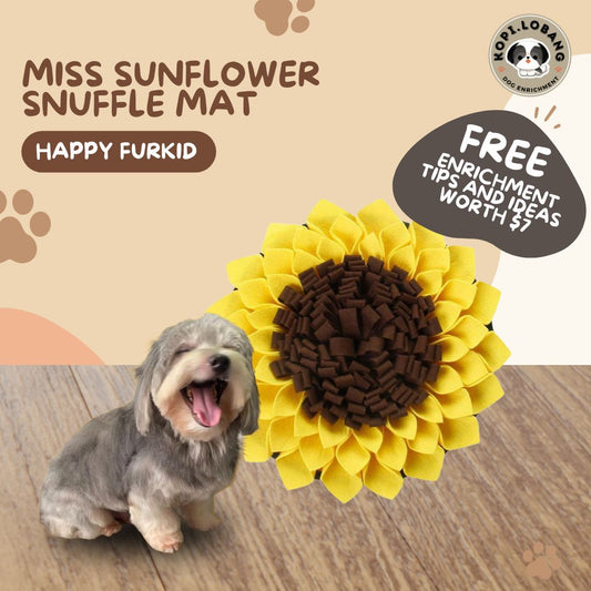 ✅[SG] MISS SUNFLOWER SNUFFLE MAT ★ Nosework Training ★ FREE Enrichment Tips & Ideas e-Guide Worth $7 ★ Pet Enrichment ★ SG Stock ★ Kopi Lobang