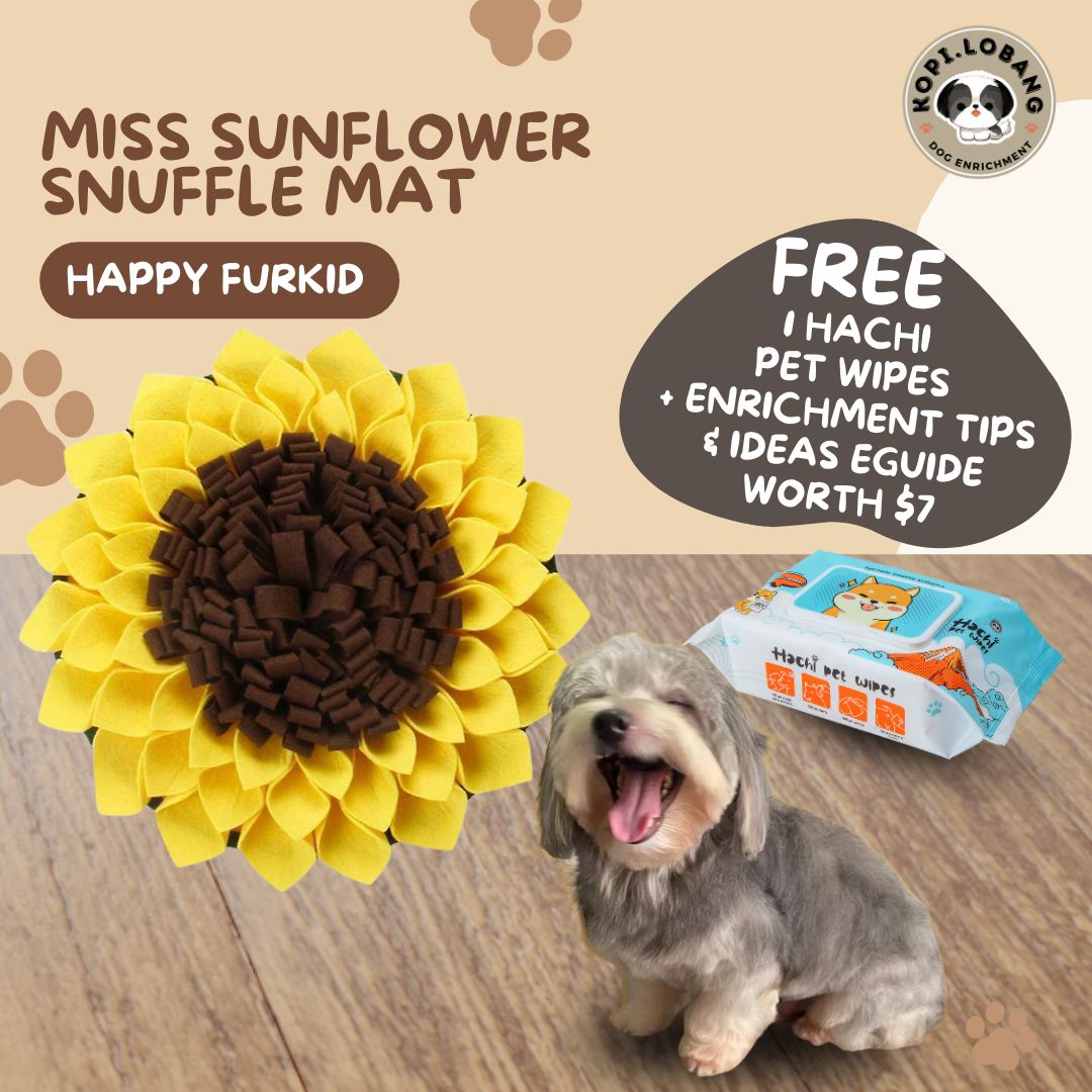 ✅[SG] MISS SUNFLOWER SNUFFLE MAT ★ Nosework Training ★ FREE Enrichment Tips & Ideas e-Guide Worth $7 ★ Pet Enrichment ★ SG Stock ★ Kopi Lobang